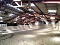 petit manege 2.jpg