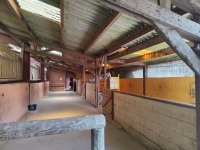 petit manege 1.jpg