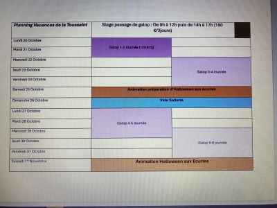 stage equitation